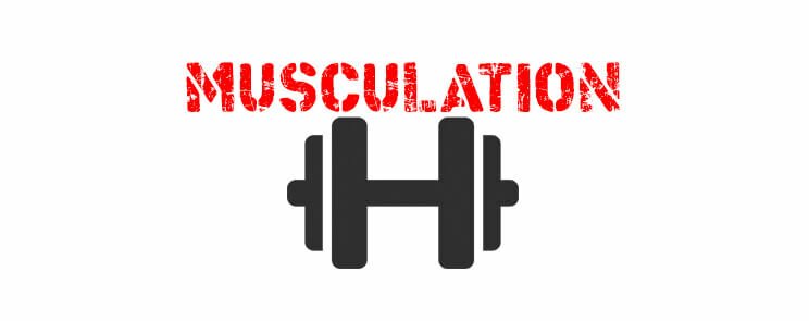 Musculation et poids libres